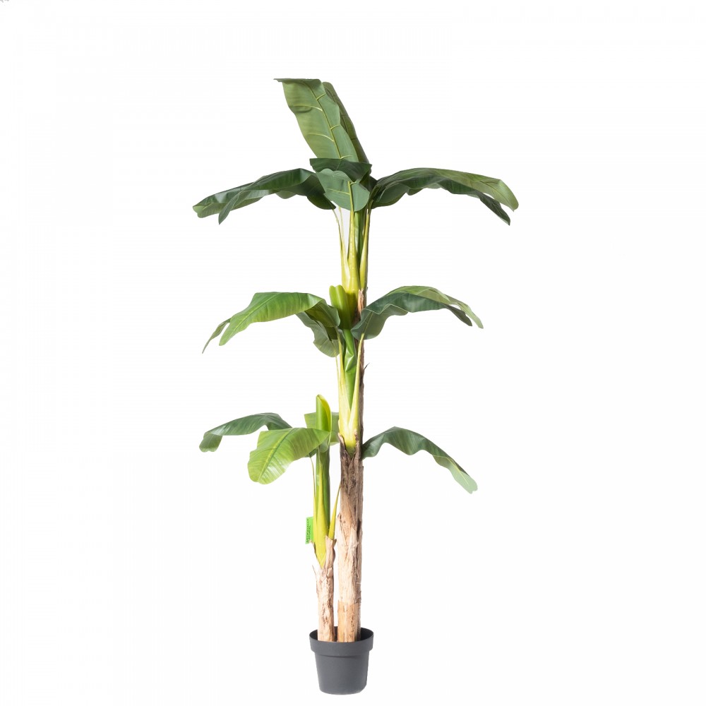 Τεχνητό δέντρο μπανανιά 200 εκ